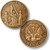 America Unites Bronze Challenge Coin