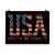USA Love It Or Leave It Poster