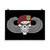 1-504 Skull w/ Wings Poster