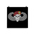 2-504 Skull w/ Wings Poster