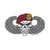 3-504 Skull with Wings Bubble-free sticker