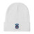 10th Mountain Division Embroidered Beanie