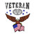 Combat Medic Badge Veteran (American Eagle) Bubble-free stickers
