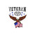 Combat Medic Badge Veteran (American Eagle) Bubble-free stickers