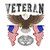 Combat Medic Badge Veteran (American Eagle 2) Bubble-free stickers