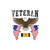 Combat Action Ribbon Veteran (American Eagle 2) Bubble-free stickers