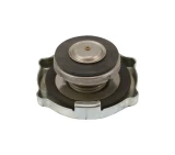 JLG Part # 7016606 | CAP, RADIATOR, EA