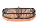 JLG Part # 70045151 | FILTER, SECONDARY, EA