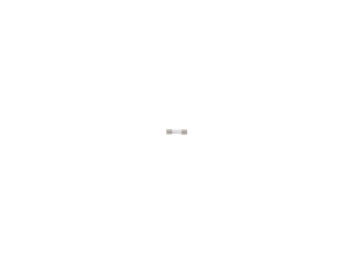 JLG Part # 2781020015 | FUSE,GLASS 1A, EA