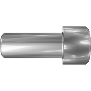 Genie Lift Part # 1253808GT - SCREW,SHC,5/16-18X.75,A574,YZ, EA