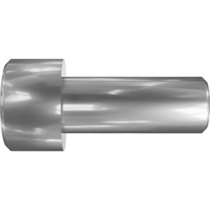 Genie Lift Part # 1299919GT - SCREW,SHC,M10-1.5X25,DIN912,12.9,ZAB, EA