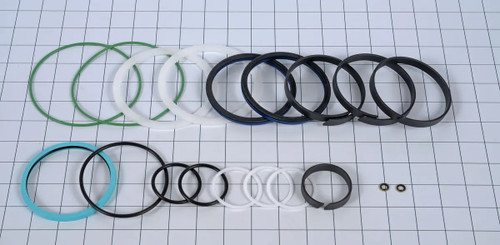 JLG Part # 110976GTGN | GN-SEAL KIT,ROTATOR, EA