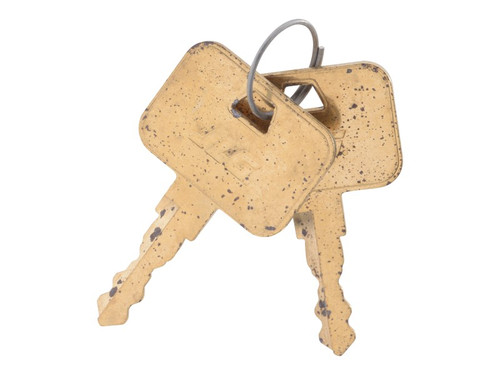 JLG Part # 1001283425 | KEY,SWITCH IGNITION, EA