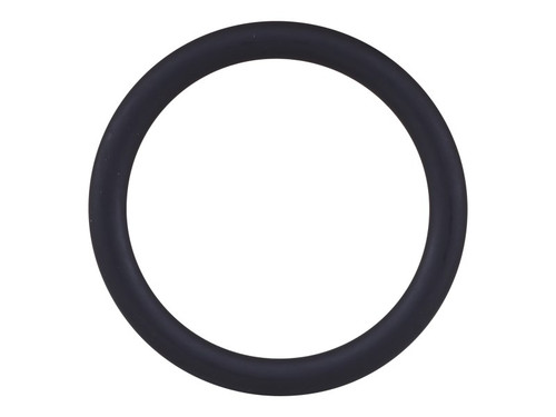 JLG Part # 70031055 | SEALING RING, WATER PUMP, EA