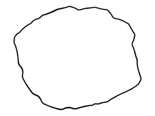 JLG Part # 4899228 | CM-VALVE COVER GASKET, EA