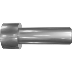 Genie Lift Part # 1320838GT | SCREW,SHCS,M10X1.5X30, EA