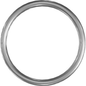 Genie Lift Part # 06.0401.0123GT - SEAL, EA