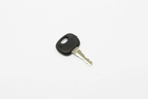 Genie Lift Part # 07.0703.0125GT - KEY, EA