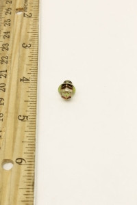 Genie Lift Part # 25670GT - SCREW,HHC,12-24 X.31", EA