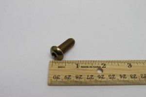 Genie Lift Part # 28487GT - SCREW,BHHS,3/8-16 X 1, EA
