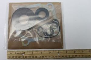 Genie Lift Part # 32675GT - SEAL KIT,SUNSTRAND, EA