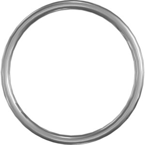 Genie Lift Part # 56238GT - O-RING,ORFS,-16, EA