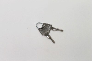 Genie Lift Part # 58322GT - KEY,SET(2) ING/7-146-01,123196, EA