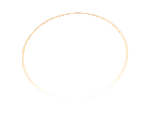 JLG Part # 1321152 | RING SUPPORT, EA