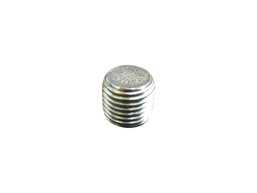 JLG Part # 2200222 | FITTING PIPE PLUG .25 SOC HD, EA