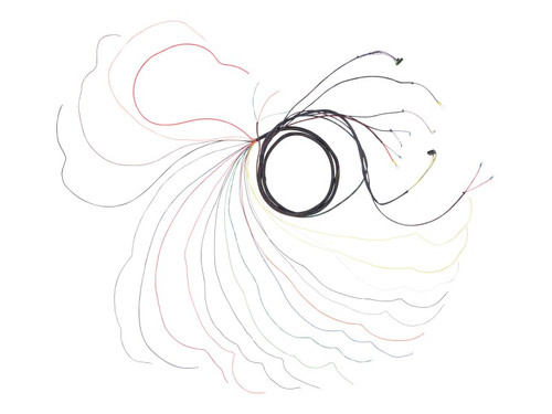 JLG Part # 4921787S | WIRE, HARNESS ENG (DTZ), EA