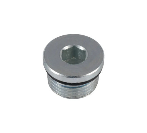 JLG Part # 7026980 | PLUG, SOCKET HEAD W/O-RING, EA