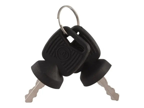 JLG Part # 8035807 | KEY IGNITION SWITCH (SET OF 2), EA