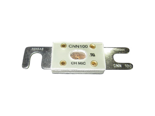 JLG Part # 2400053 | FUSE, 100 AMP, EA