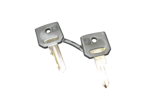JLG Part # 7010698 | KEY IGNITION-2 KEYS PER PACK, PK
