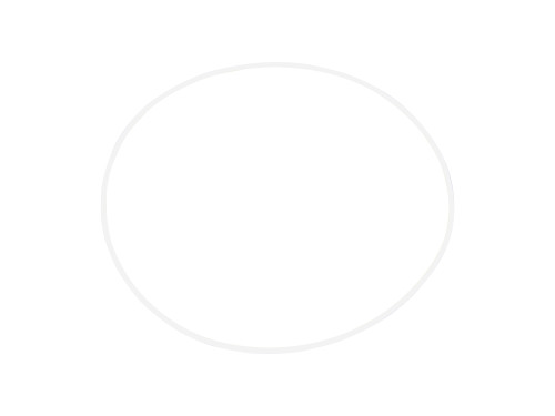 JLG Part # 7017070 | O-RING, EA