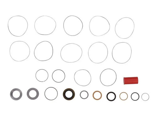 JLG Part # UP61817-010 | UP-KIT, SEAL, EA