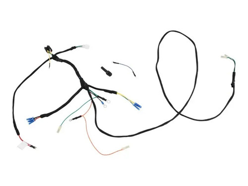 JLG Part # 4922740 | HARNESS, PUMP 12VDC AM PRODUCT, EA