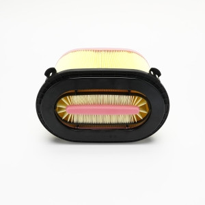 Genie Lift Part # 1256219GT - FILTER, AIR, EA