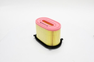 Genie Lift Part # 1256219GT - FILTER, AIR, EA