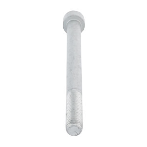 Genie Lift Part # 216068GT - SCREW, SHC, 10MM X 125MM, EA