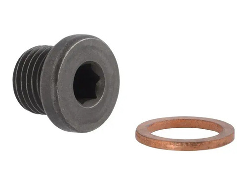 JLG Part # 70005020 | PLUG W/WASHER, EA