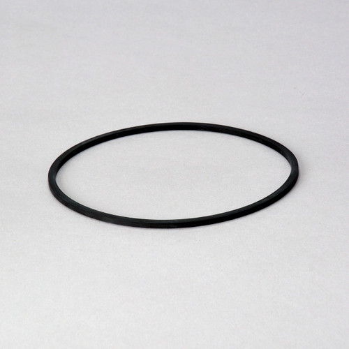 JLG Part # P174997 | D/S,GASKET, CS