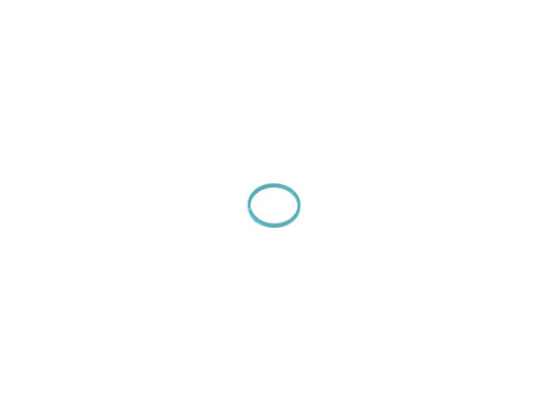 JLG Part # 70025433 | SEALING RING, EA