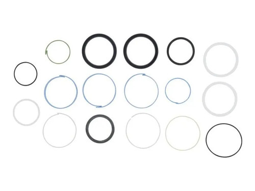 JLG Part # GN101251GT | GN-SEAL KIT, TELE CYL, EA