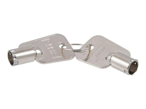 JLG Part # PTNM341 | KEY,SET (PAIR), EA