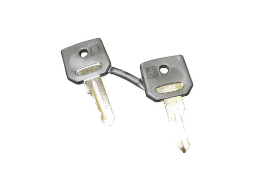 JLG Part # 21982GT | GN-KEY IGNITION (2), PK