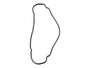 JLG Part # 2749410003 | VALVE COVER GASKET, EA