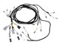 JLG Part # 1001248863 | HARNESS,LEVELING JACK, EA