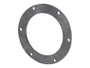 JLG Part # 1001262985 | SEAL,FLANGE GASKET, EA