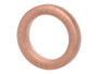 JLG Part # 1148951 | DTZ-SEALING RING, EA